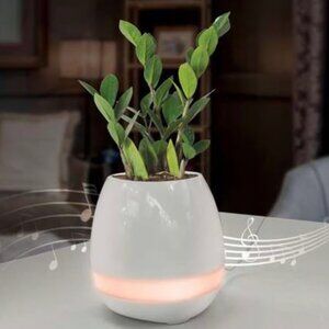 CYLO Bluetooth Planter Speaker with LED Light *NEW* MSRP: $50+tax